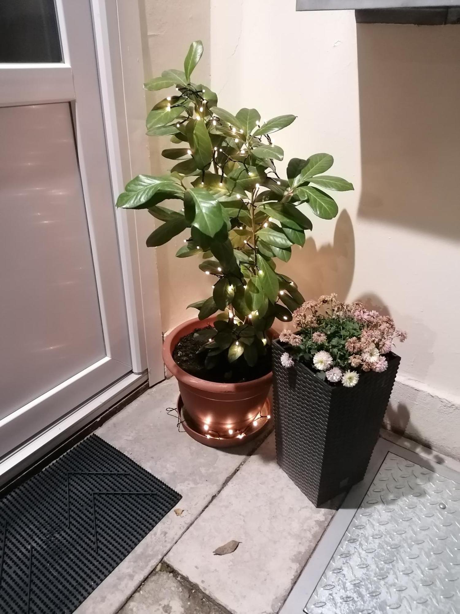 Mohacs Korona Apartman Esterno foto